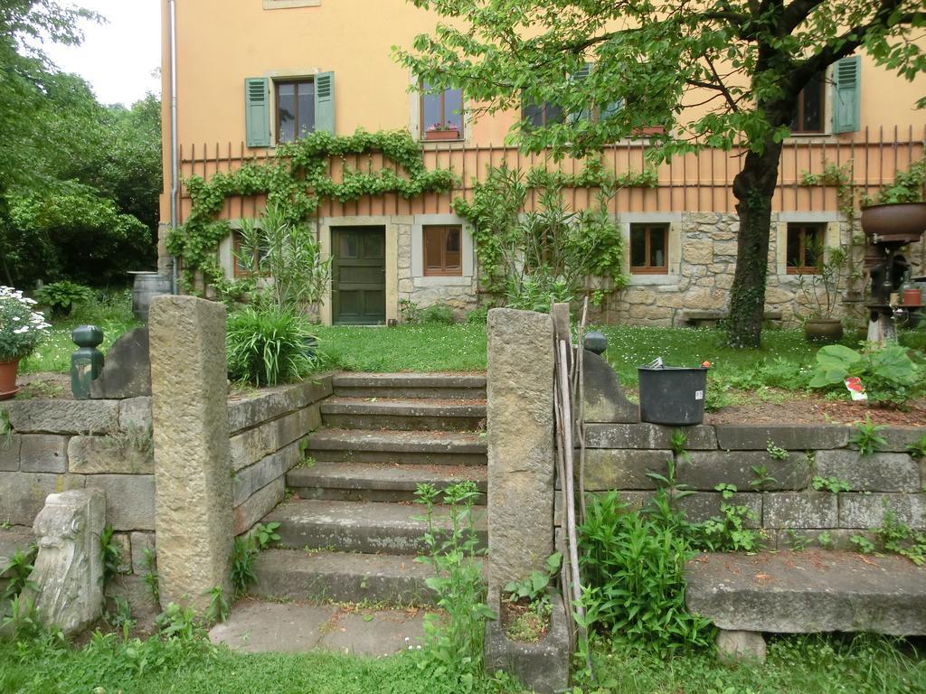 Ferienwohnung Mit Charme In Dresden Pillnitz Экстерьер фото